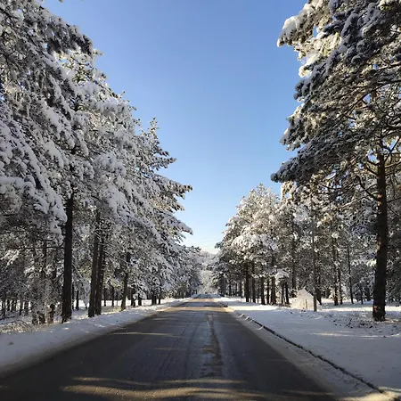 Teka Zlatibor